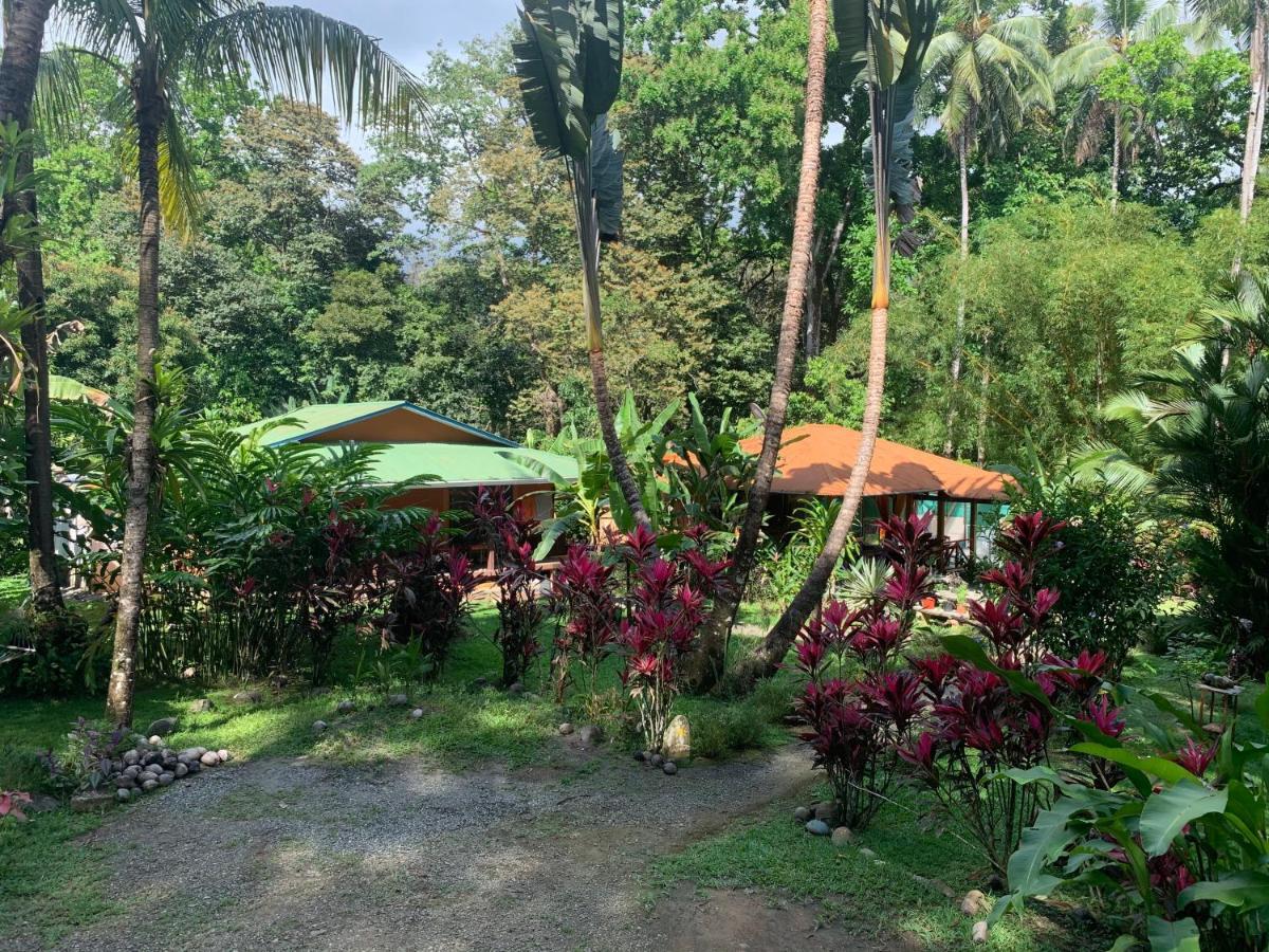 Cabinas Coco Lindo Ojochal Bagian luar foto